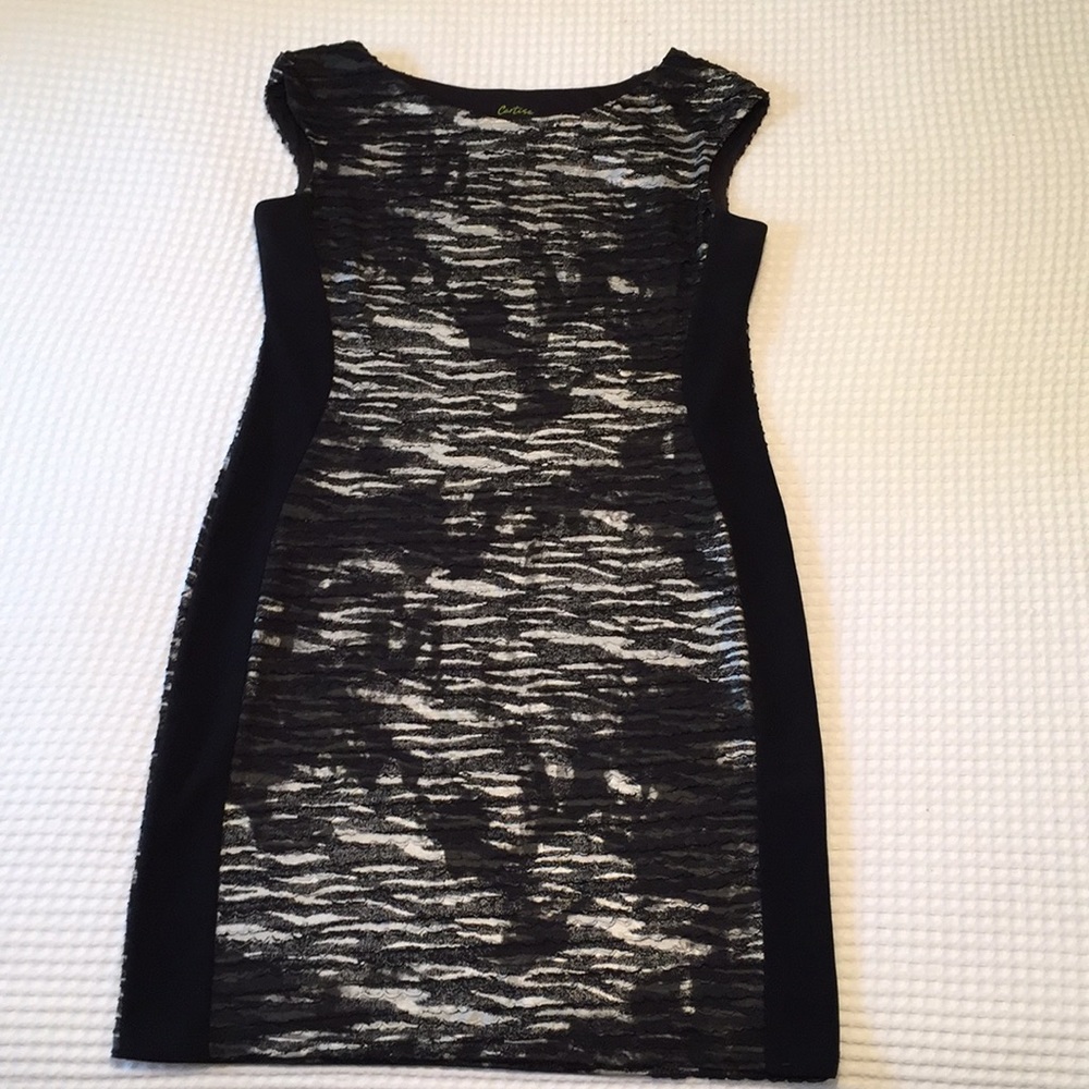 Cartise Black & Silver Fitted Dress